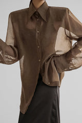 Elegant Sheer Long Sleeve Blouse