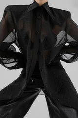 Elegant Sheer Long Sleeve Blouse