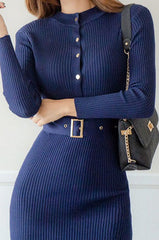 Button Front Bodycon Sweater Dress
