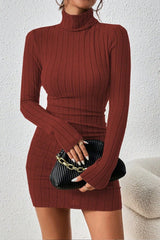 High Neck Slim Fit Knit Sweater Dress