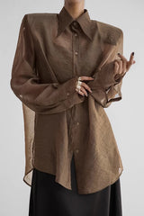 Elegant Sheer Long Sleeve Blouse