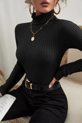 Fitted Long Sleeve Mock Neck Sweater