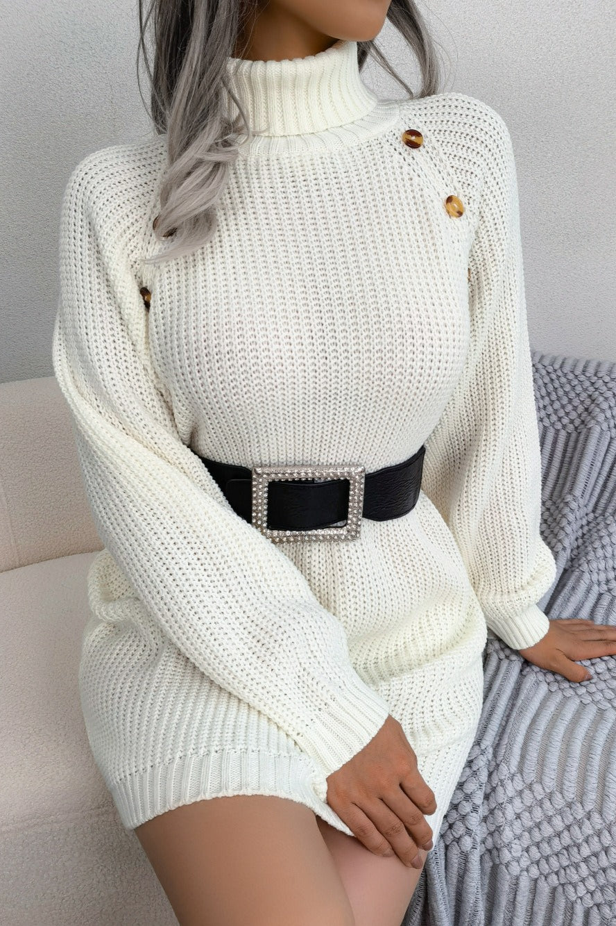 Long Sleeve Button Knit Sweater Dress