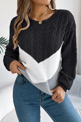 Colorblock Round Neck Pullover Sweater Black / S