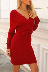 V-Neck Batwing Sleeve Sweater Dress