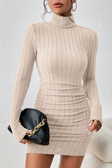 High Neck Slim Fit Knit Sweater Dress