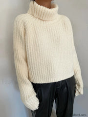 High Neck Graceful Ribbed Knit Sweater Sweaters L