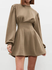 Knit Pleated Long Sleeve Modern Crew Neck Mini Dress Knit Dresses