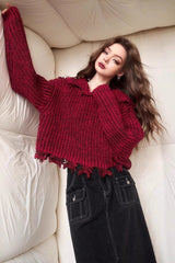 Solid Color Tassel Trim Short Chunky Sweater