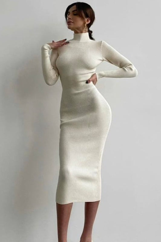 Semi-High Neck Slim Fitted Knit Sweater Dress