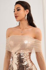 Off Shoulder Sequin Mesh Party Dress