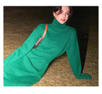 Julia Fashion - Turtleneck Women's Dress