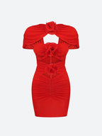 Floral Cut Out Mesh Mini Dress