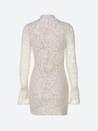 Lace Cut Out Mini Dress