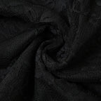 Lace Sheer Mini Dress