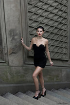 Aarohi Crystal Stylish Mesh Mini Dress