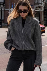 Minimalist Solid Color Double Zipper Stand Collar Sweater