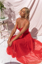 Cindy Tulle Stylish Midi Dress