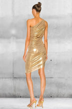 Diana Elegant Mini Dress