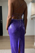 Emilina Sequin Stylish Backless Maxi Dress