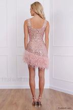 Evie Elegant Pink Dress