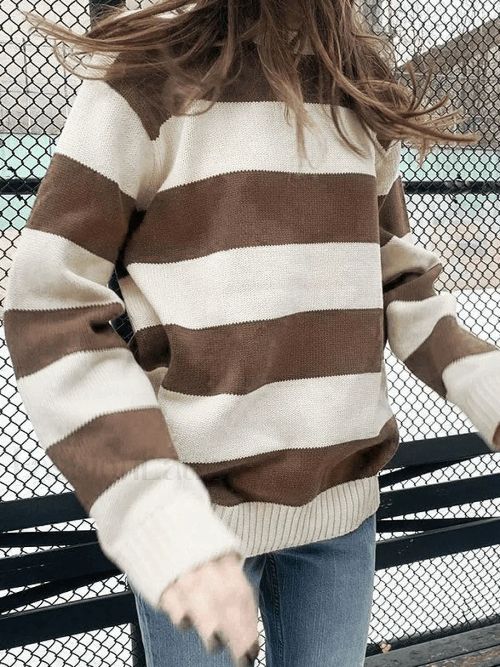 Striped Crew Neck Knit Sweater Brown / ONE SIZE Sweaters
