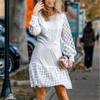 JuliaFashion - 2024Vintage Long Sleeve Mesh Lace Dress