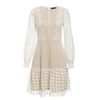 JuliaFashion - 2024Vintage Long Sleeve Mesh Lace Dress