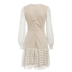 JuliaFashion - 2024Vintage Long Sleeve Mesh Lace Dress